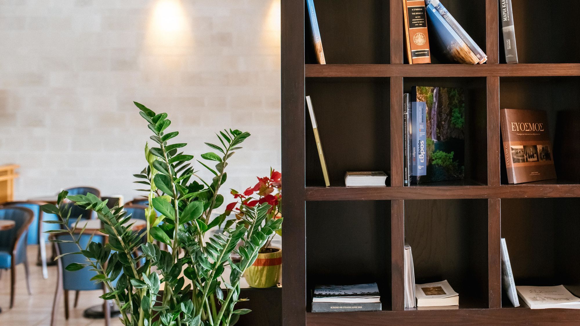 Alexander Beach Hotel & Spa Alexandroúpolis Ngoại thất bức ảnh Zamifolia